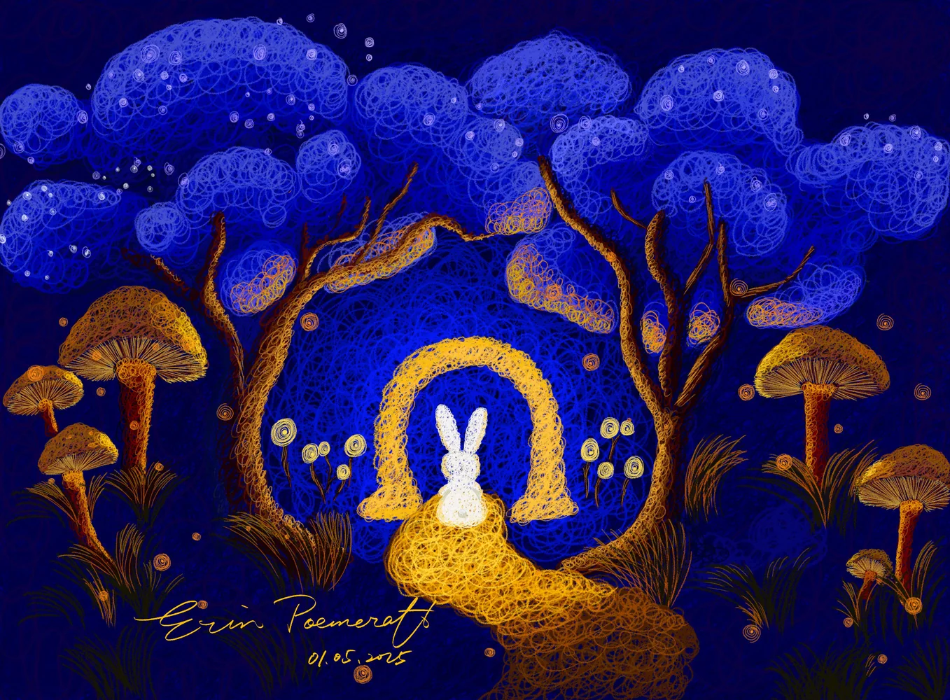 Secret Forest at Night